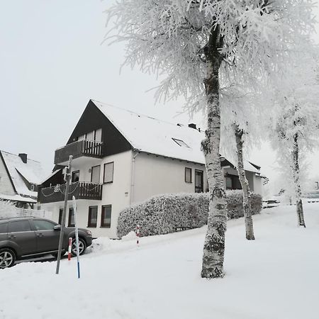 Haus Schneider Daire Winterberg Dış mekan fotoğraf