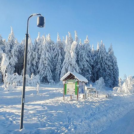 Haus Schneider Daire Winterberg Dış mekan fotoğraf