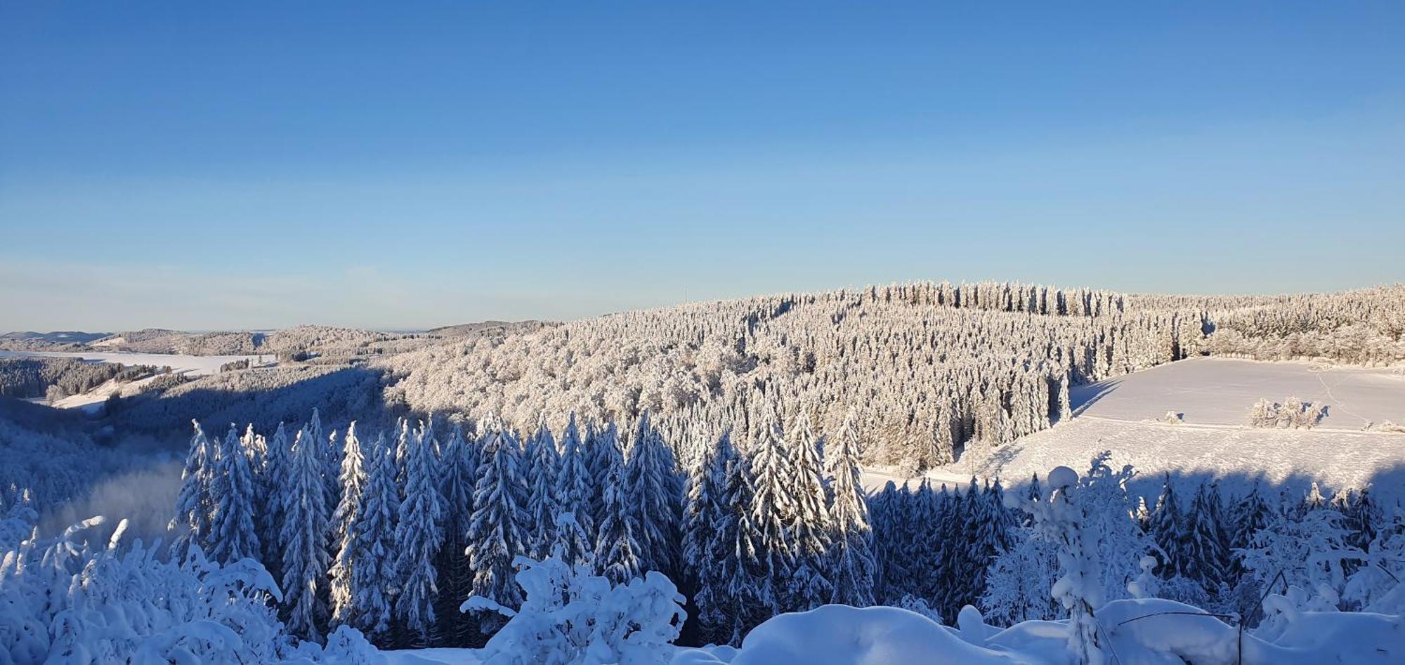 Haus Schneider Daire Winterberg Dış mekan fotoğraf