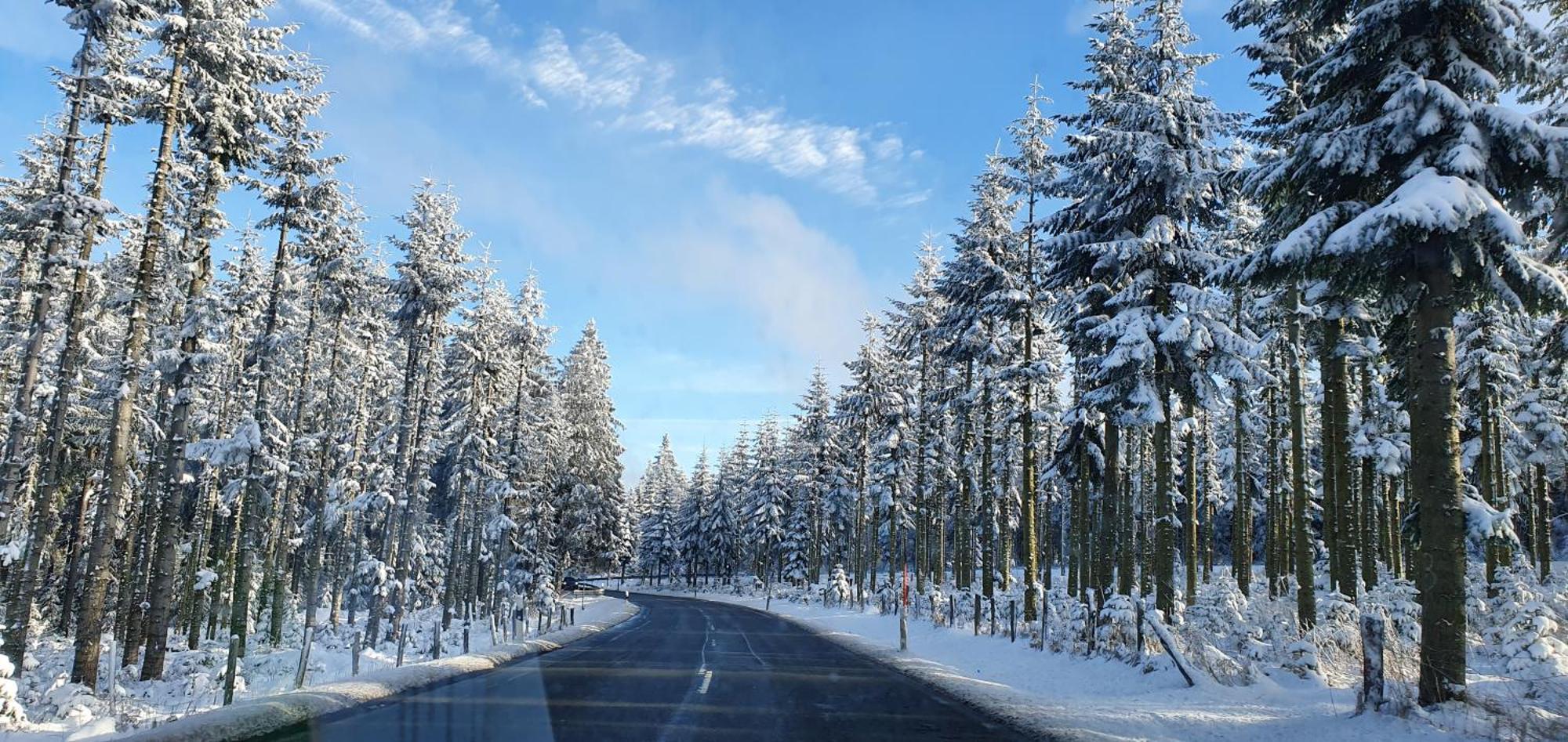 Haus Schneider Daire Winterberg Dış mekan fotoğraf