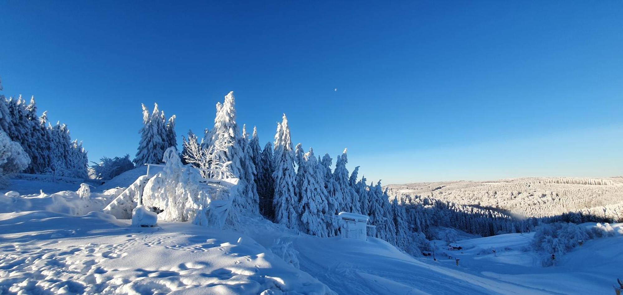 Haus Schneider Daire Winterberg Dış mekan fotoğraf