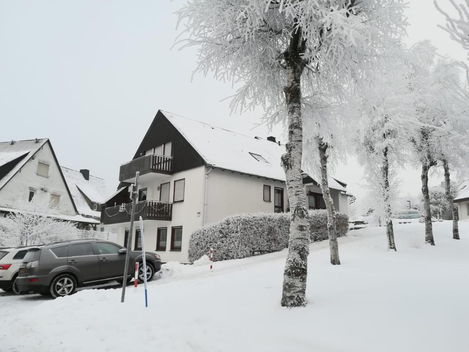 Haus Schneider Daire Winterberg Dış mekan fotoğraf