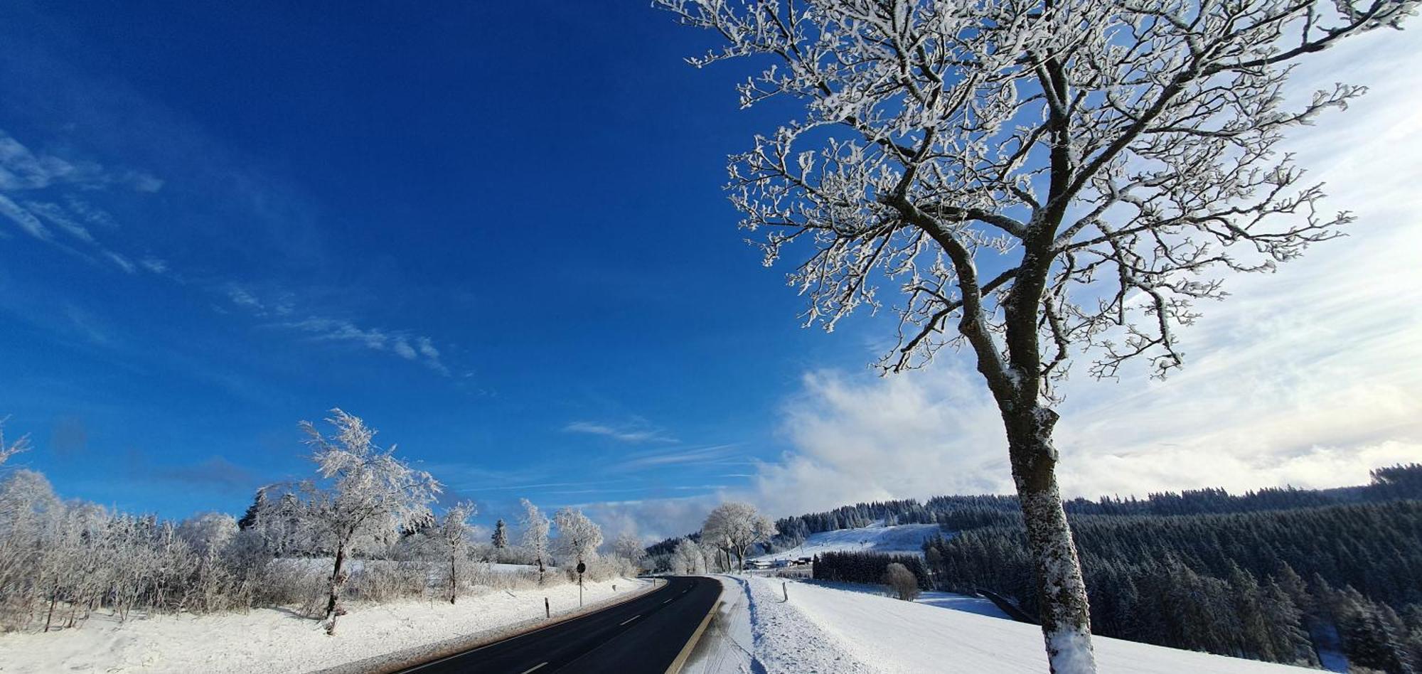 Haus Schneider Daire Winterberg Dış mekan fotoğraf
