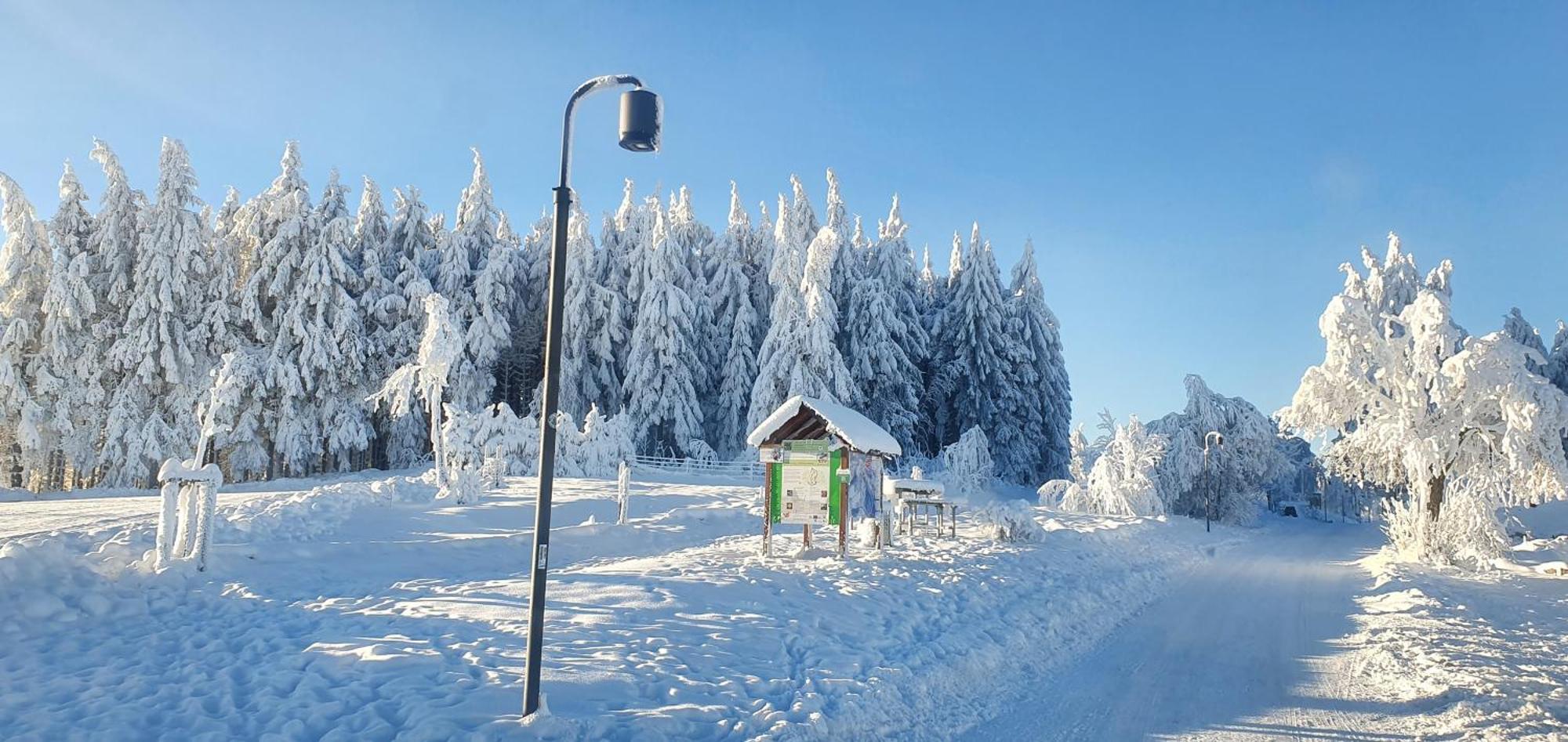 Haus Schneider Daire Winterberg Dış mekan fotoğraf